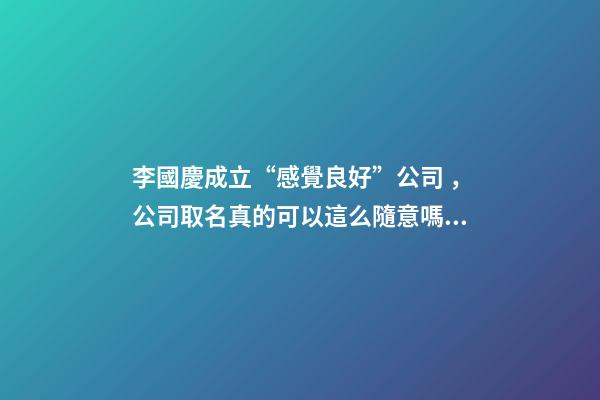 李國慶成立“感覺良好”公司，公司取名真的可以這么隨意嗎？-第1張-公司起名-玄機派